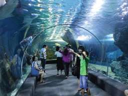 SEA LIFE Bangkok Ocean World Tickets, USD 4.30
