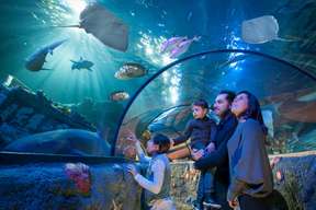 Gardaland Sea Life Aquarium