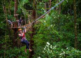 สุดยอดทัวร์ Daintree ในควีนส์แลนด์ | ออสเตรเลีย