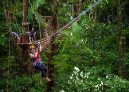 The Ultimate Daintree Tour in Queensland | Australia, RM 932.39