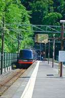 日本东京及周边包车一日游｜富士山・箱根・镰仓・热海・伊豆・轻井泽・长野・日光｜包车一日游私人包车10 小时