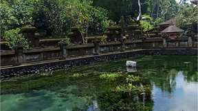 Ubud Holy Water Temple