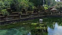 Ubud Holy Water Temple, RM 200.90