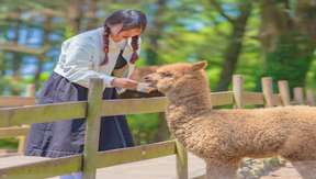 Hwajowon (Flower Bird Park) | Jeju Island, South Korea