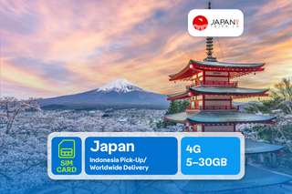 (Indonesia Pick-Up/Worldwide Delivery) Japan SIM Card Big Data