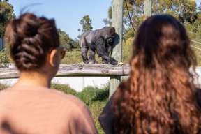 Orana Wildlife Park Admission Ticket