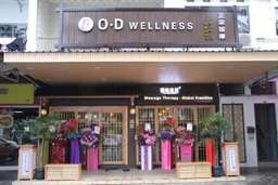 Body Massage and Foot Reflexology at OD Wellness