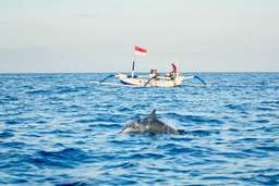 Dolphin Tour Lovina By Bali Best Adventure, RM 32.40