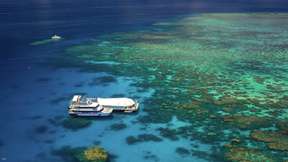 [Eco Tour] Great Adventures Cruises | Great Barrier Reef Adventure | Cairns