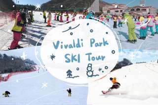 Vivaldi Park Ski Resort with Ski/Snowboarding Lesson - Day Tour by S. A. Tour
