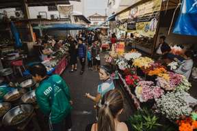 Half Day Cooking Class by Yummy Tasty Thai Cooking School Chiang Mai