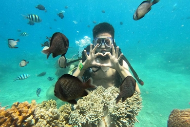 Tiket Diving in Con Se Tre Island Nha Trang - Day Tour - Harga Promo 2024 di Traveloka
