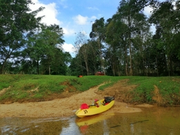 Little Amazon River Kayak Experience in Terengganu 4
