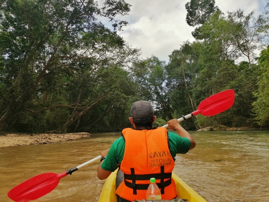 Little Amazon River Kayak Experience in Terengganu 1