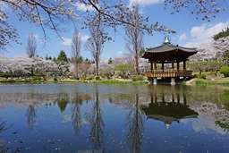 Gyeongju Full Day Guided Tour, USD 209.76