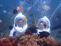 努沙杜瓦巴厘岛水上运动海底漫步