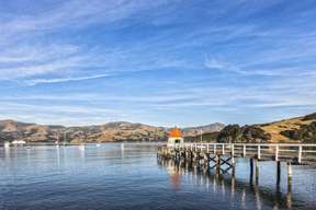 Akaroa Harbour Nature Cruise