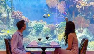 All-You-Can-Eat Seafood Buffet at Copper Aquarium Restaurant | Bangkok