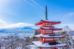 Mt. Fuji 1-Day Bus Tour: Arakurayama Sengen Park, Kawaguchiko Craft Park, Oishi Park, Saiko Iyashi no Sato Nenba (Healing Village) - Shinjyuku/Shinagawa departure | Japan, Rp 1.012.989