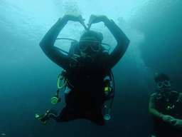 Mactan Island Discover Scuba Diving for Beginners with Optional Island Hopping Tour | Cebu