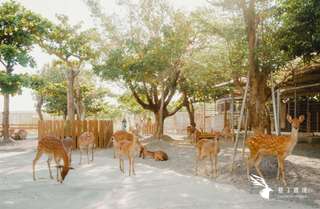 Kenting Lujing Sika Deer Ecological Park Ticket