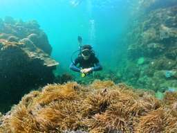 Phu Quoc Scuba Diving Day Tour