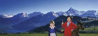 Heidiland & Liechtenstein Day Tour from Zurich