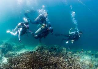 Mactan Island Scuba Diving for Beginners with Roundtrip Transfer | Cebu, RM 341