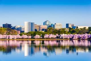 Washington DC and Philadelphia Tour from New York