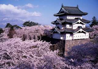 Aomori, Japan｜Aomori Customized Private Charter Car One-Day Tour｜9-seater Car