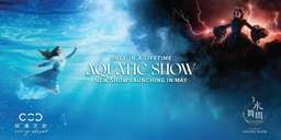 House of Dancing Water Show Ticket, USD 88.92