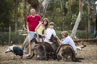 Kangaroo Island Experience Day Tour from Adelaide | South Australia