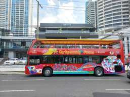 City Sightseeing Panama City Hop-on Hop-off Bus Tour