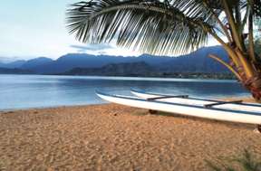 Phiêu lưu trên bãi biển trên Đảo Bí Mật Trang Trại Kualoa | Hawaii