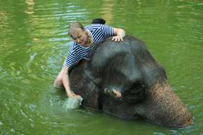 Lombok Wildlife Park Elephant Bath Experience