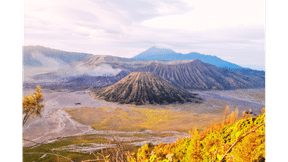 Private Trip to Mount Bromo Starting from Malang City for 2 Indonesian Citizens