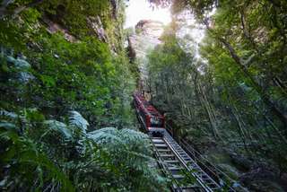 All Inclusive Small Group Blue Mountain Day Tour｜New South Wales