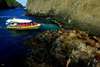 Lên chiếc thuyền màu vàng được chế tạo riêng để tham gia Chuyến du thuyền hoang dã kéo dài 3 giờ, với tầm nhìn ra bờ biển gồ ghề đầy mê hoặc của Đảo Bruny và động vật hoang dã địa phương, chẳng hạn như đá hải cẩu tại The Friar