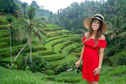 Full-Day Ubud: Monkey Forest, Rice Terrace, Temple, and more - 10 Jam, AU$10