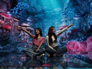 Virtual Immersive Park (VIP) JTP Tickets