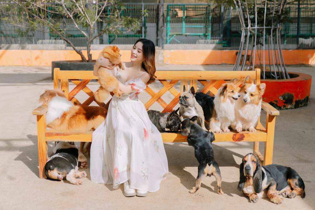 Vé tham quan Nông trại cún Puppy Farm Đà Lạt - Traveloka