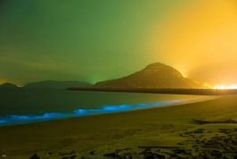 마츠 전세차 | 난간 전세 차량 8시간 1일 투어 | 선택 관광명소 및 전문 운전기사 가이드 3