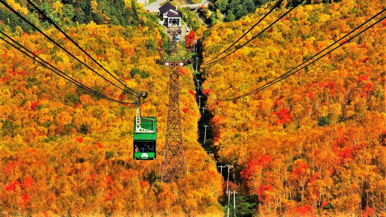 Kurodake-Ropeway-Asahiyama-Zoo-Blue-Pond-Autumn-Leaves-Bus-Tour