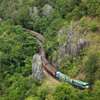 Transfer on the shuttle bus from Rainforestation Nature Park to Kuranda Railway Station for the 3:30 pm train and disembark at Freshwater Station