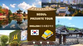 Downtown Seoul Private Tour