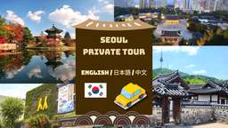 Downtown Seoul Private Tour, USD 245.38