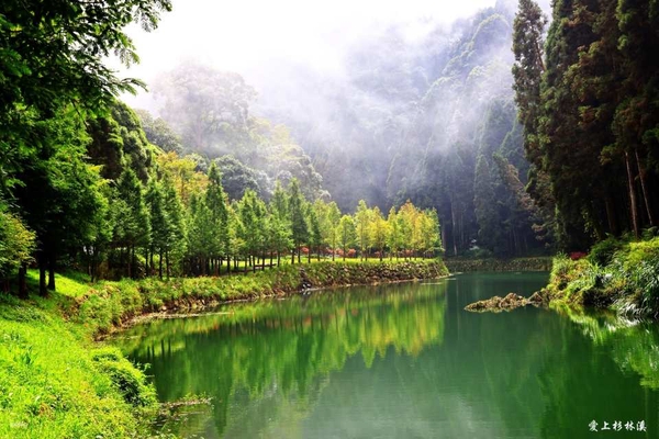 난터우 산린시 일일 투어 (타이중 출발) 1