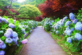 난터우 산린시 일일 투어 (타이중 출발) 3