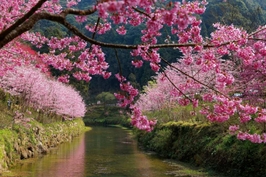 난터우 산린시 일일 투어 (타이중 출발) 5