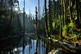 난터우 산린시 일일 투어 (타이중 출발) 4